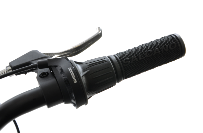 Professional Hector Mountain Bike Black-5